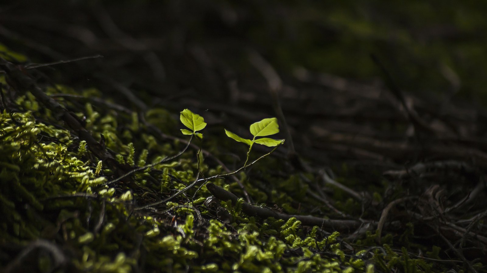 ABOUT sustainability journey